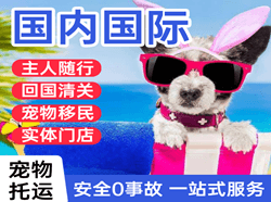 二连浩特赛乌素空运地址国际宠物托运 【国